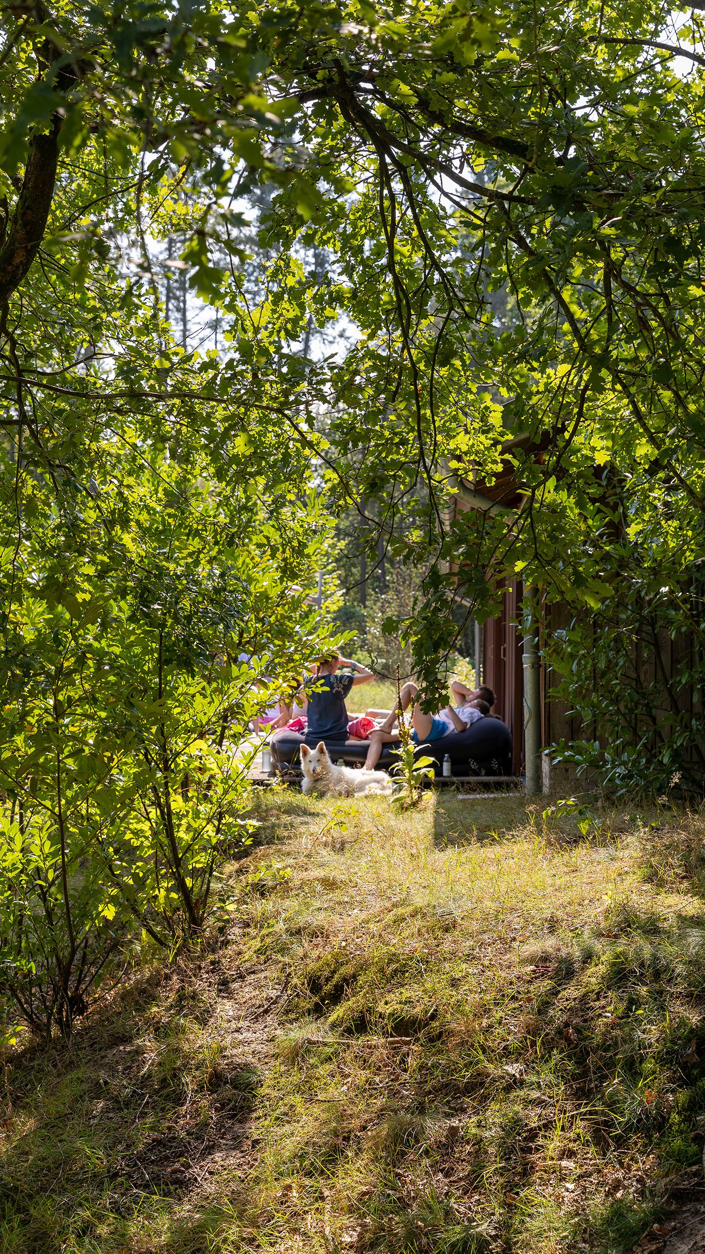 An Escape into Nature, nothing else around